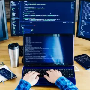 Custom Software Development